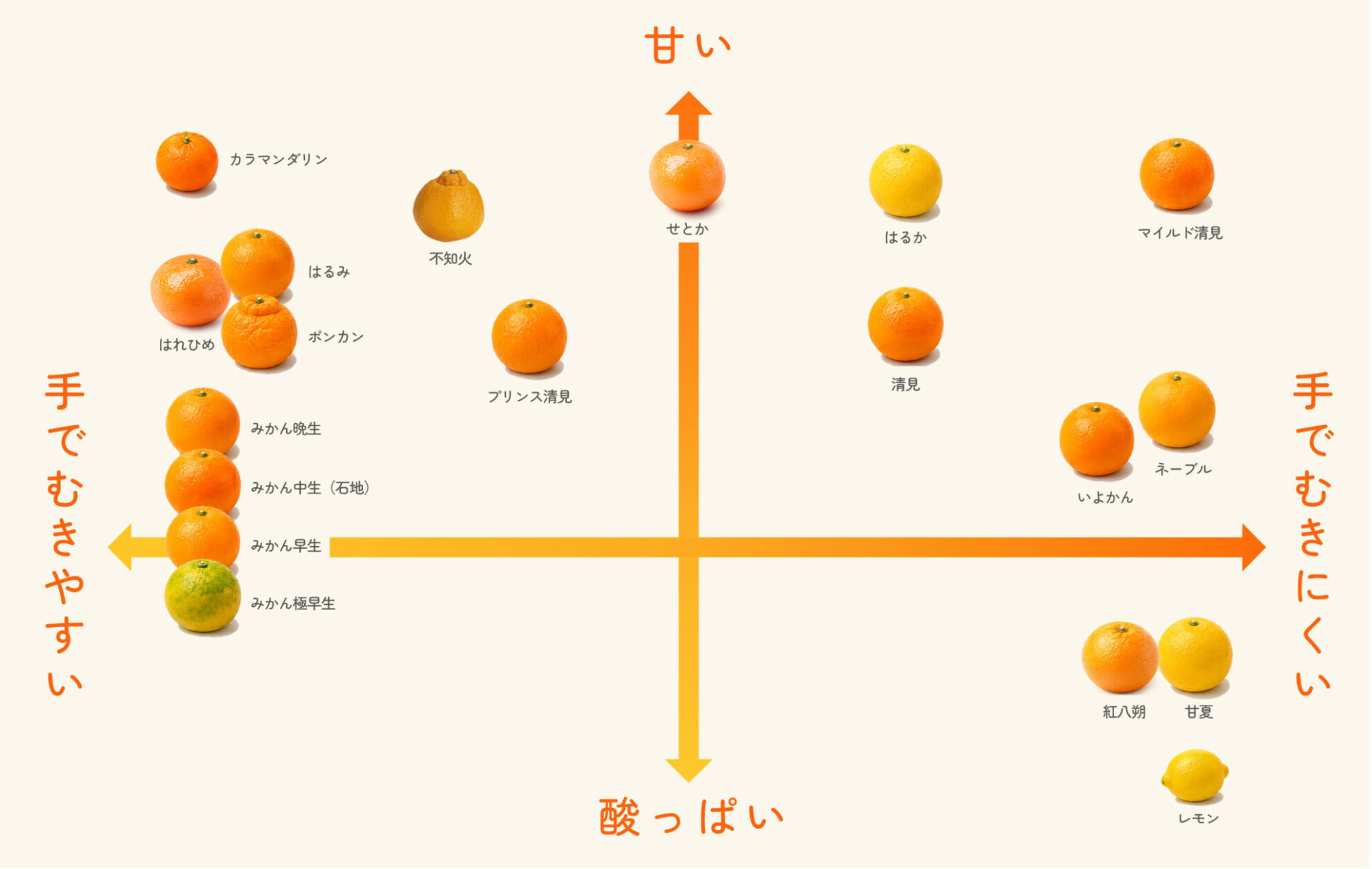 当園で育てている柑橘について
